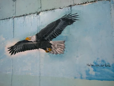 85a130162461053.63d66745e3352